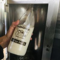 Verse melk uit de tap